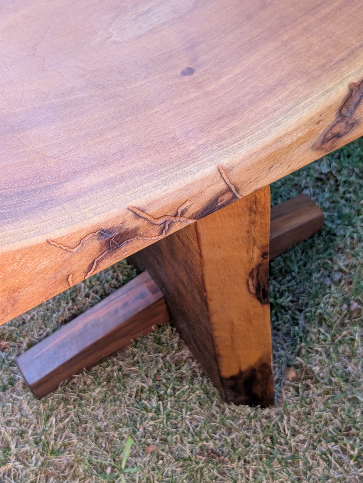 Close up of the live edge showing worm eaten tunnels in the walnut